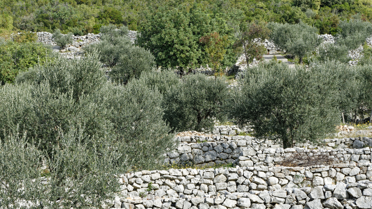 20221103 102914•Radovici•Coastalregion•Montenegro